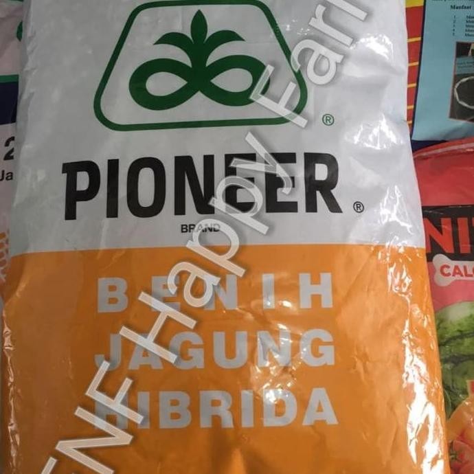 || BANANA / Benih Jagung Pioneer P32 Singa isi 5kg ||~~~