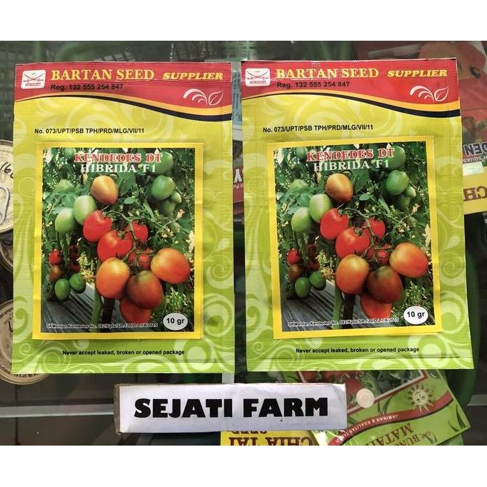 || BANANA / Benih Tomat - KenDedes - Ken Dedes ||~~~