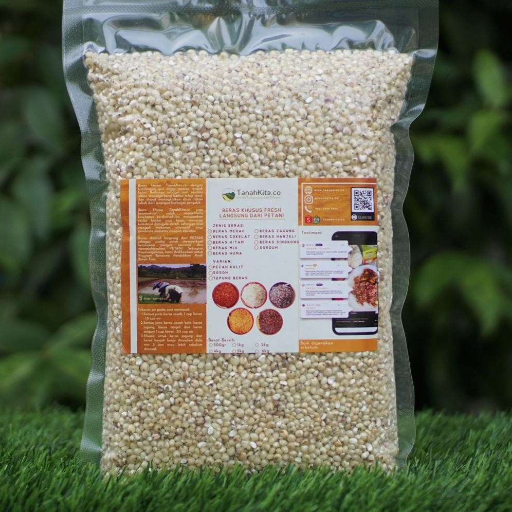 

Beras Sorgum Sosoh FRESH Langsung Dari Petani I Sorghum I 1kg Vacuum