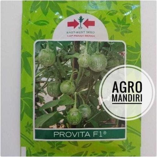 Isi 1100 Benih Terong Bulat Lalap Hijau PROVITA F1 Hibrida Cap Panah Merah