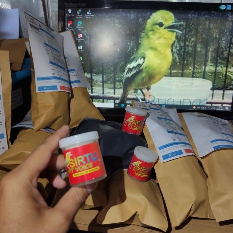 Terlaris vitamin penggacor sirtu vit voice ( vitamin burung cipow gacor) Terbaru