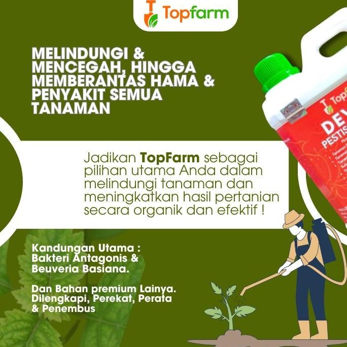Obat Hama Nilam 1 Liter / Obat Semprot Hama Tanaman Nilam / Fungisida Kaki Gajah Pada Nilam / Pestis