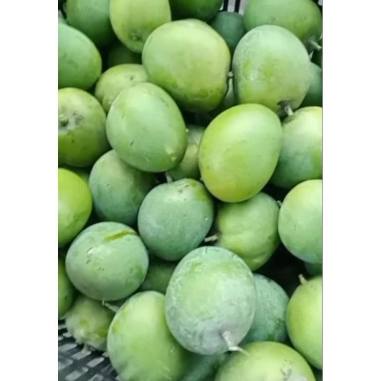 

Tersedia Sekarang (Promo) Mangga Mardi /Mangga Apel Asli Situbondo Berat 1Kg