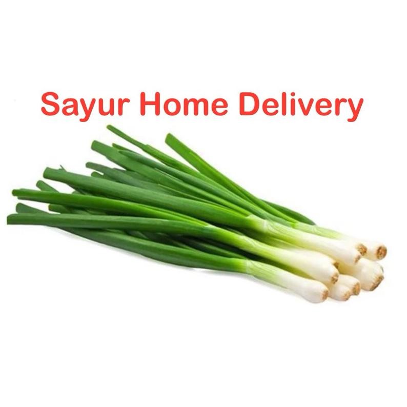 

Revolusioner Sayurhd Daun Bawang 100 Gram