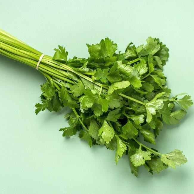 

Premium Terbaik Daun Sop / Seledri Per Ons