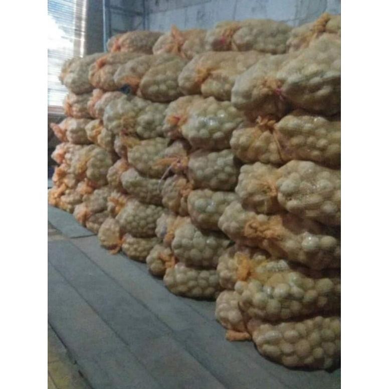 

Aman Terbaik Elshop Kentang Dieng Fresh Bersih Murah 1 Kg (Kualitas Baik)
