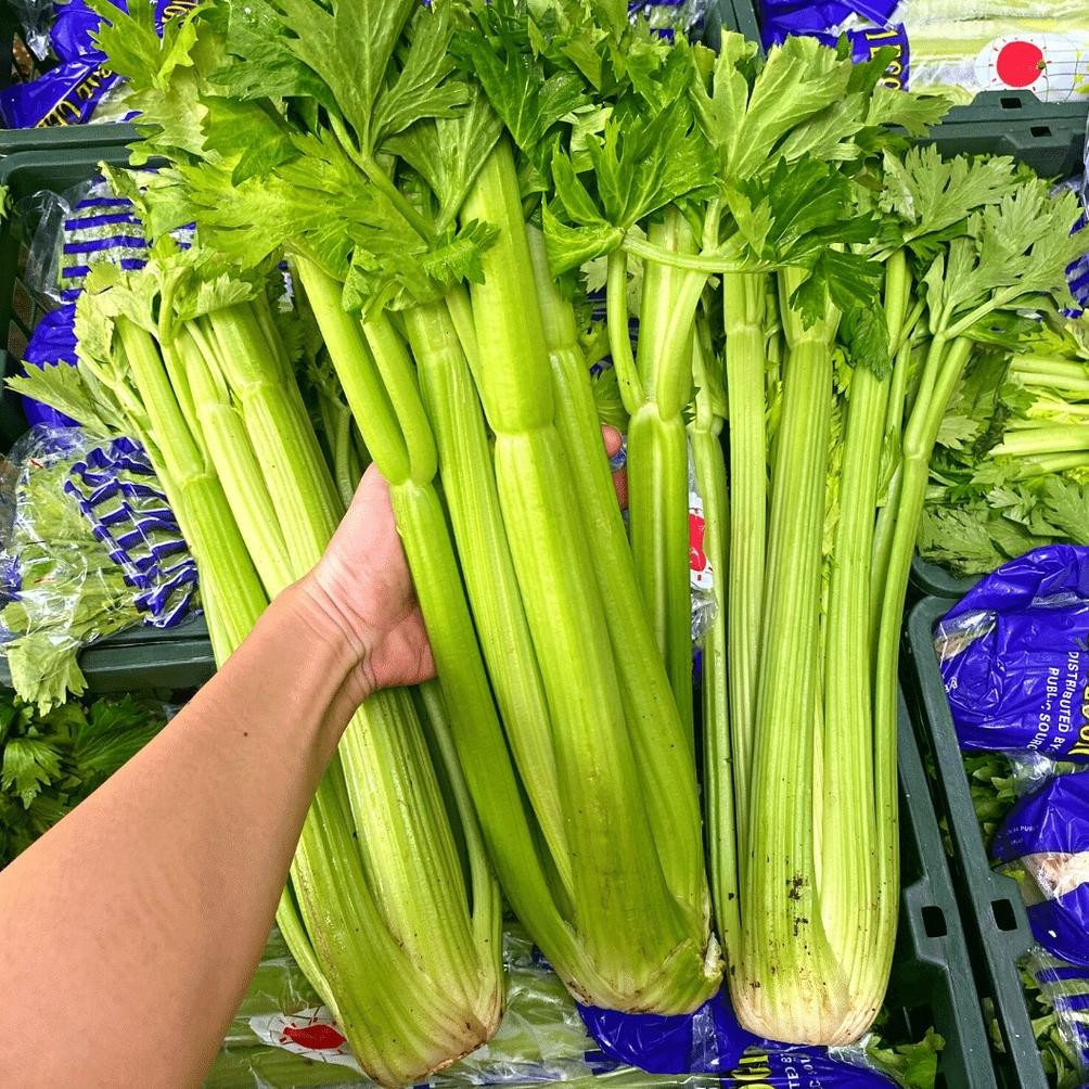 

Buktikan Celery Stick / Seledri Stick / Batang Seledri Import 1Kg