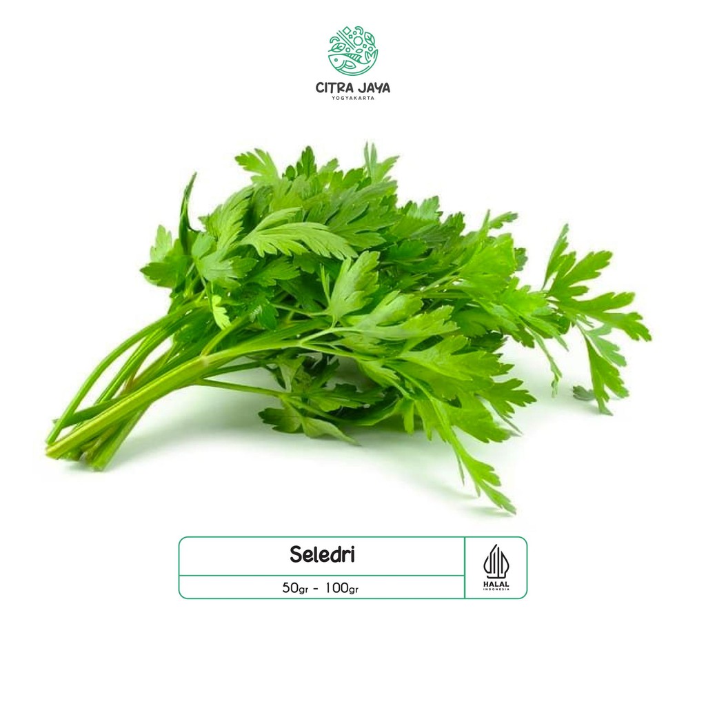 

Canggih Seledri 100G - Citra Jaya Yogyakarta