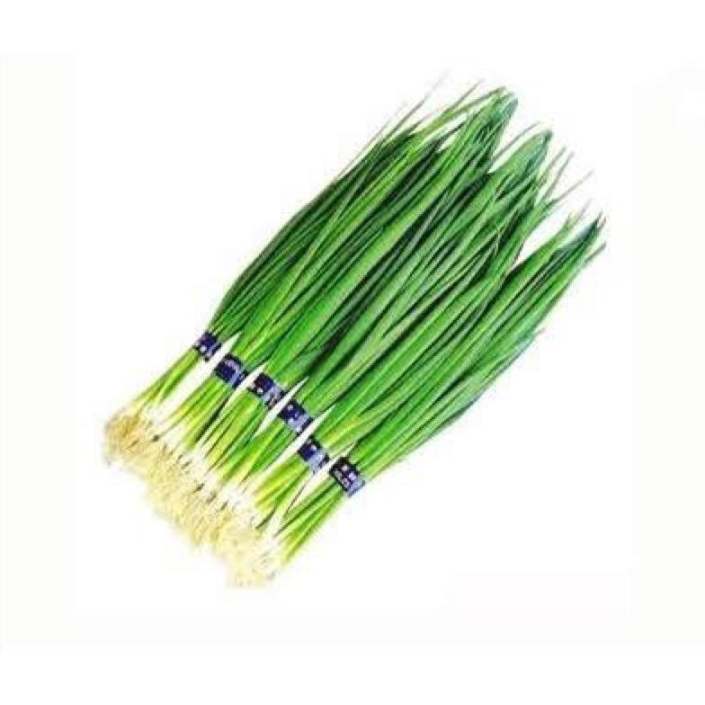 

New Arrival Hidroponik Daun Bawang