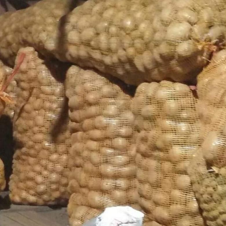 

Inspiratif Elshop Kentang Dieng Fresh Bersih Murah 1 Kg (Kualitas Baik)