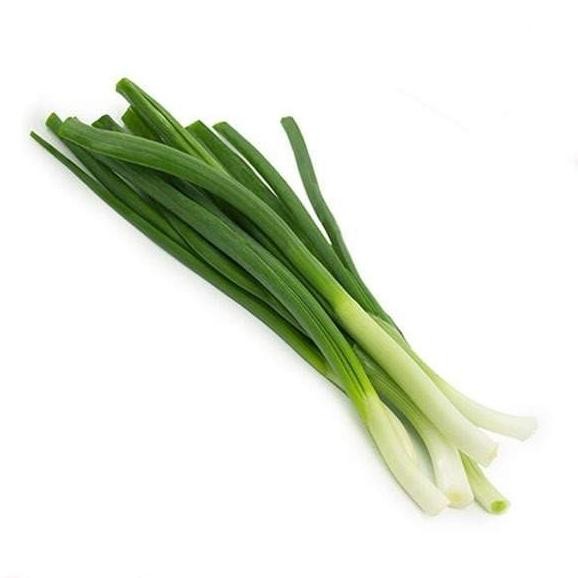 

Mudah Digunakan Fcw - Daun Bawang Segar 100 Gram