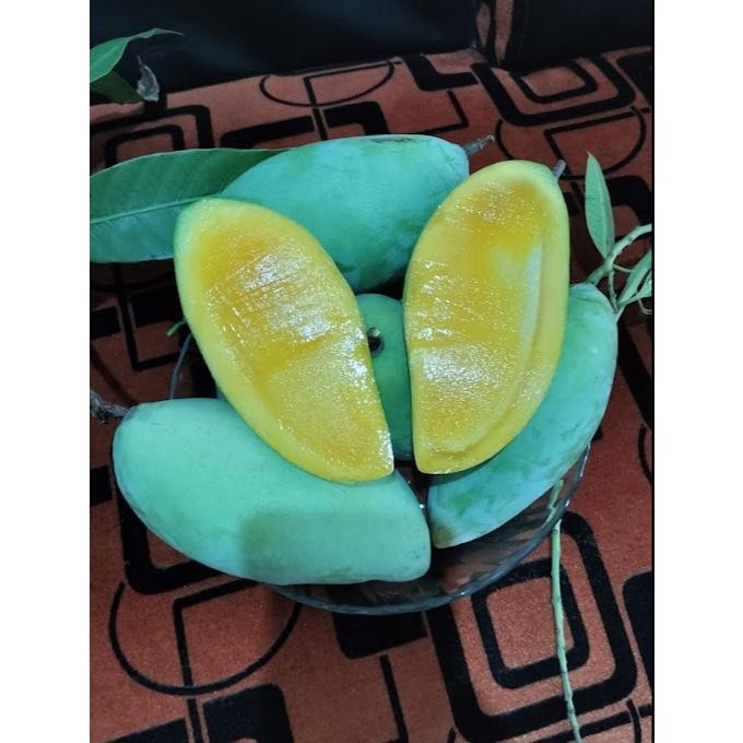 

Rekomendasi Mangga Okyong Muda Atau Yg Tua 1Kg Isi 4,5,6 Bisa Reques Capur