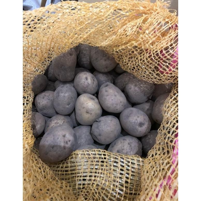 

Keunggulan Kentang Potato Ukuran B Kemasan 1Kg (Isi 7-11 Biji)