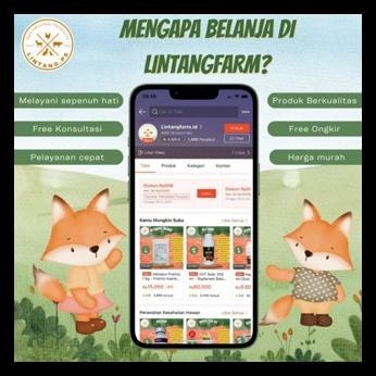 SUPER PRENIX 25 KG - PREMIX KAMBING - PREMIX SAPI - MINERAL KAMBING - MINERAL DOMBA - MINERAL SAPI -