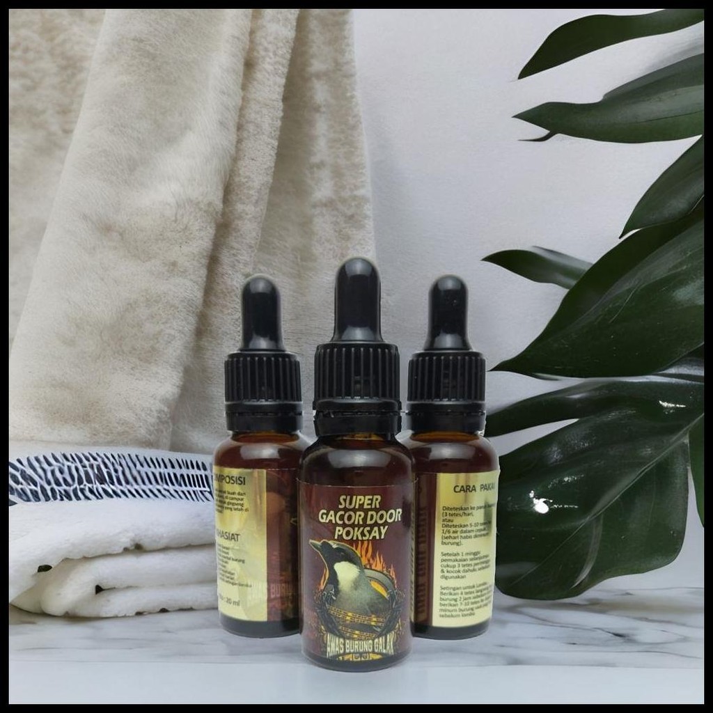 SUPER GACOR DOOR POKSAY PENGGACOR SEKETIKA