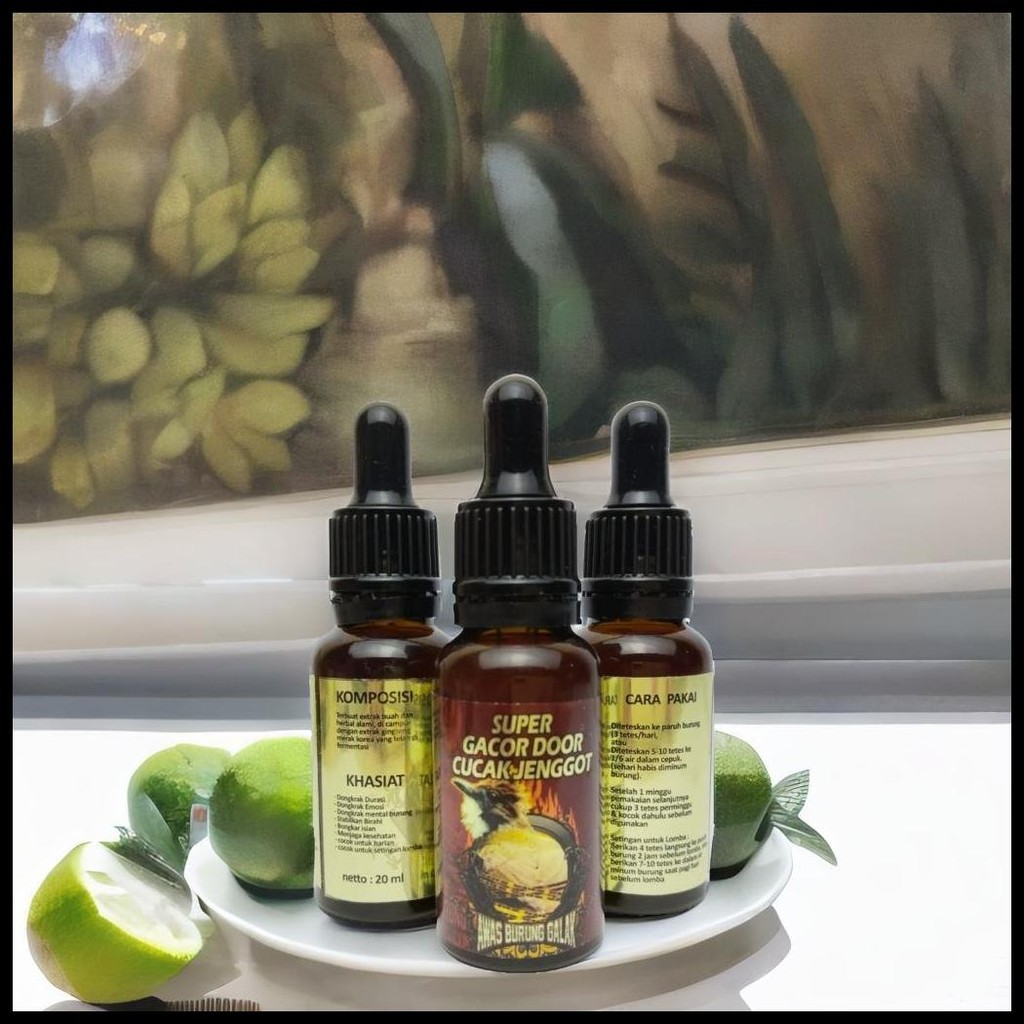 SUPER GACOR DOOR CUCAK JENGGOT PENGGACOR SEKETIKA