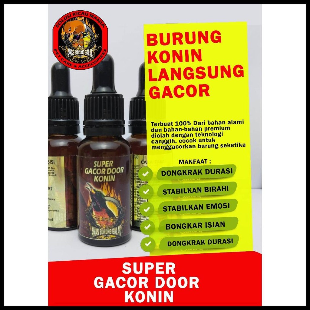 SUPER GACOR DOOR KONIN PENGGACOR SEKETIKA