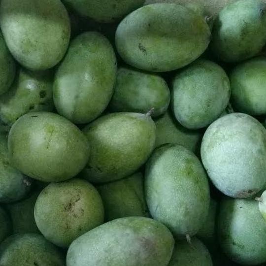 

Bisa Diandalkan Buah Mangga Manalagi Madu 1Kg (Isi 5-6Buah) - Jonsmart [Khusus Instan Dan Sameday]