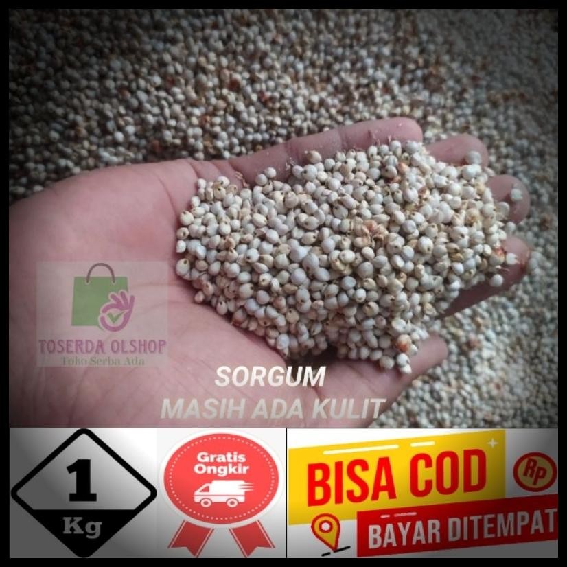 

BERAS SORGUM BIJI SORGUM ORGANIK KEMASAN 1KG LANGSUNG DARI PETANI
