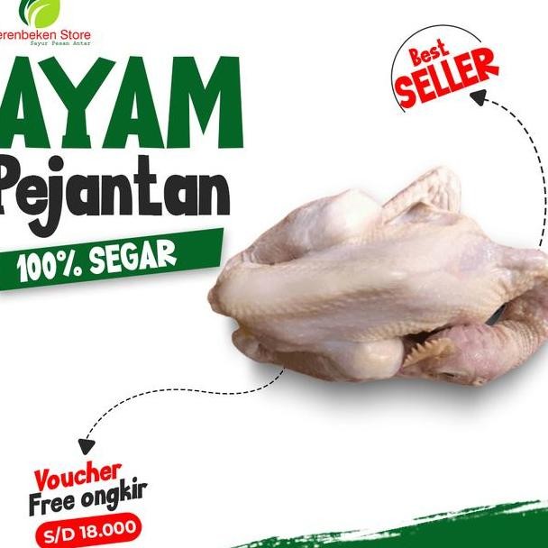 

Ayam Pejantan Lokal 1.Gr Segar Cocok Gulai Opor Bumbu Rempah
