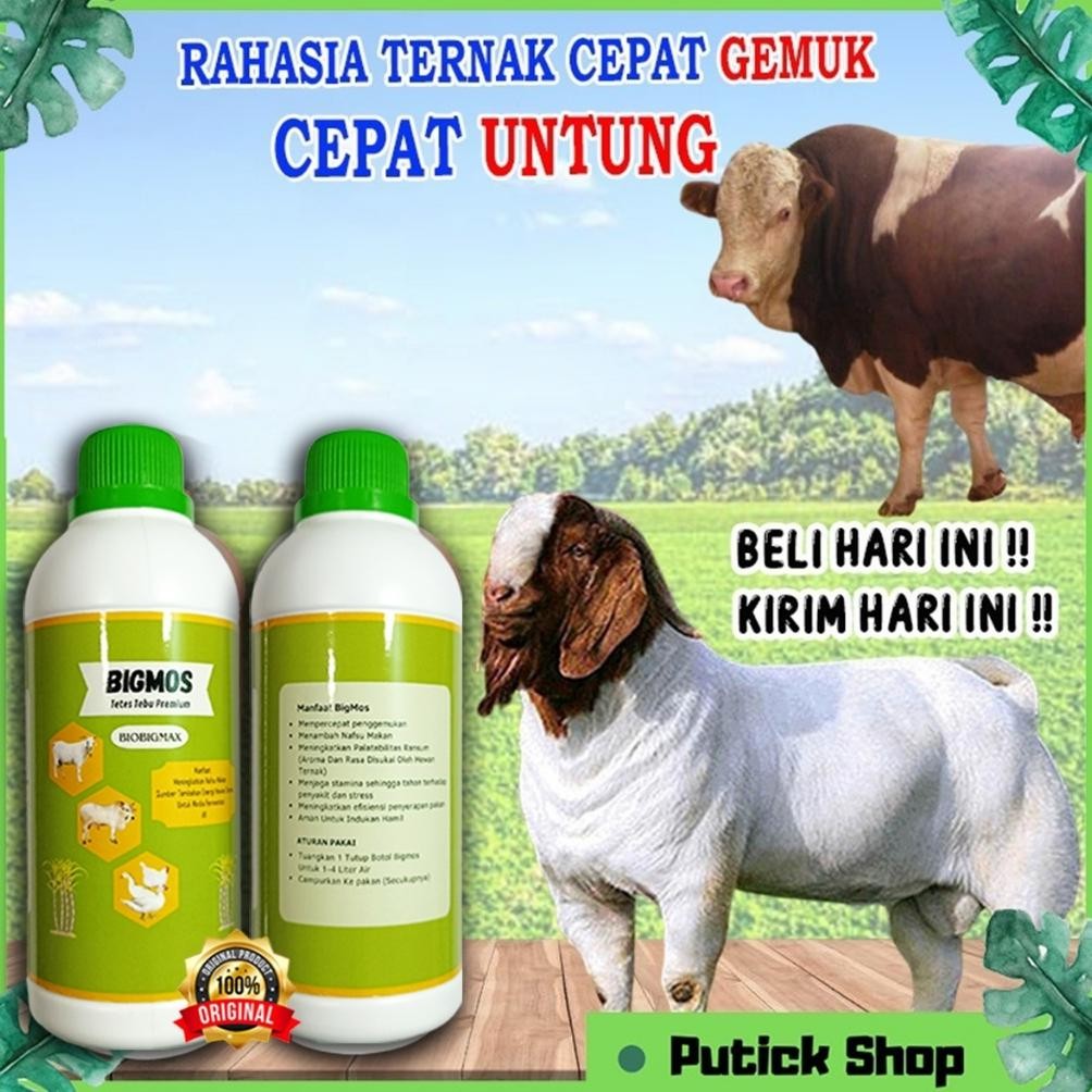 NEW Vitamin Kambing Biar Gemuk BIGMOS ORIGINAL Obat Kambing Cepat Gemuk / Penggemuk Kambing, Penggem
