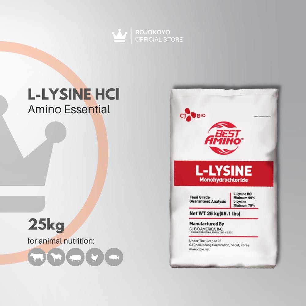 NEW L-Lysine 25 kg - Suplemen Asam Amino untuk Penambah Berat Badan Hewan Ternak