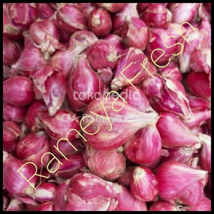

Terlaris Bawang Merah Brebes 1Kg 1 Kg Good Quality