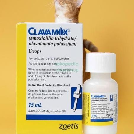 Clavamox Drops Oral Suspension Antibiotik Kucing Anjing 15ml