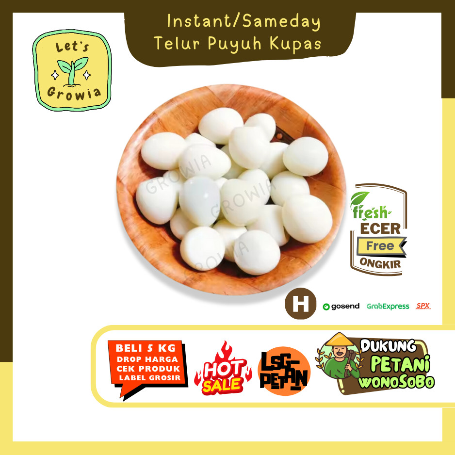 

Growia || Telur Puyuh Kupas -- Hasil Petani Lngsung Ecer (H)