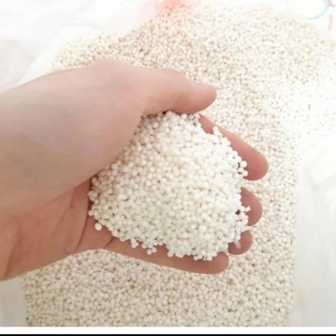 

Terlaris Sagu Mutiara 1Sak 15 Kg Thailand Sago Seeds Pearl