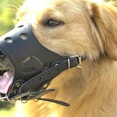 Dog Muzzle Pu Leather Brangus Brongsong Kulit Untuk Anjing