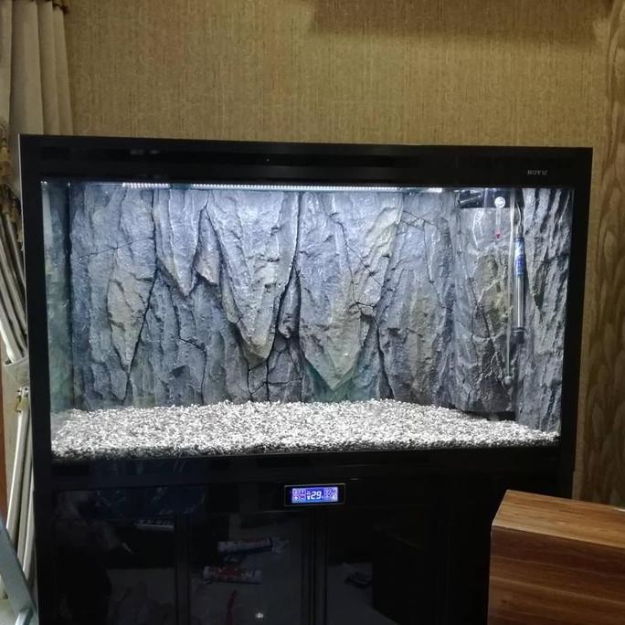 Background 3D Aquarium Arowana