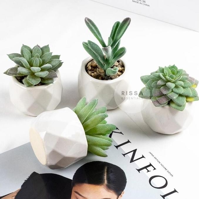 

[RISSA] Mini Kaktus Palsu Pot Cactus Kecil Tanaman Palsu Dekorasi Tanaman Bunga Sintetis Prop Foto Layout Foto Studio Properti Foto Rissa Essentials