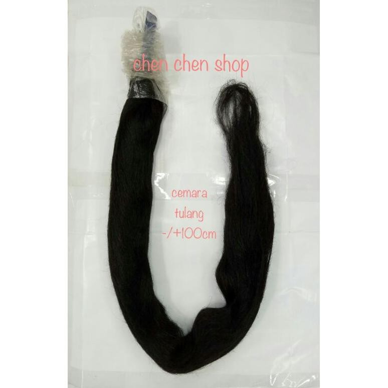 Cemara tulang/cemara panjang AST