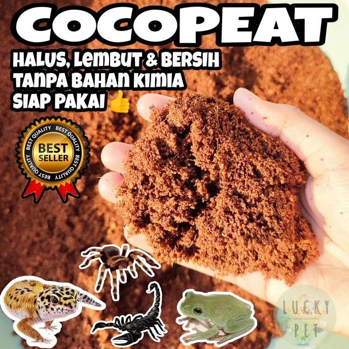 1 Kg Cocopeat Cocopit Kokopit Alas Kandang Reptil Gecko Tarantula Frog Co