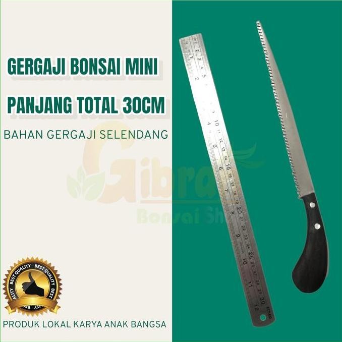 Gergaji bonsai bahan baja gergaji selendang alat bonsai murah