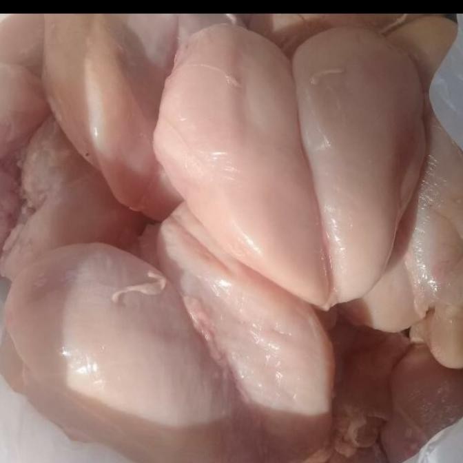 

(Expert) fillet dada ayam murah