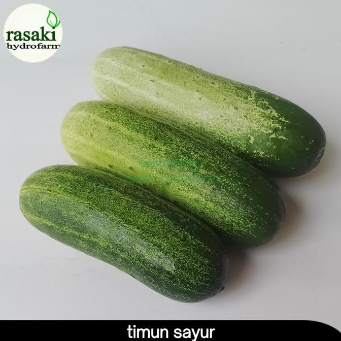 

timun sayur segar 500 gr