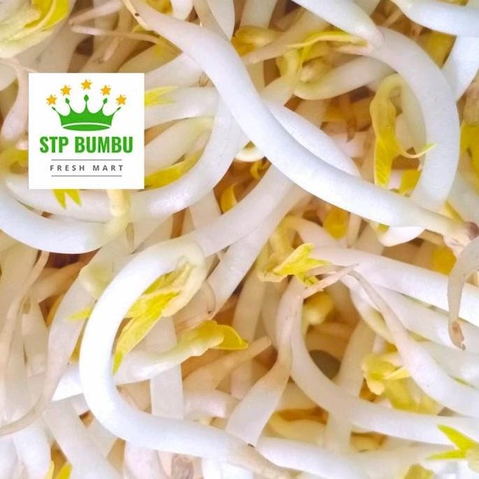 

Toge / Tauge / Sayur Toge Segar
