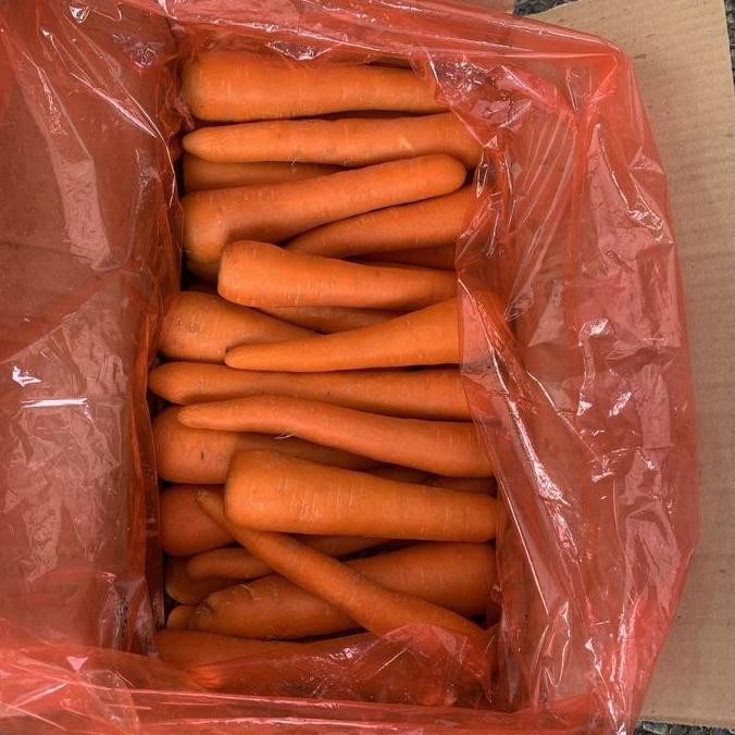 

Sayur Wortel / Carrot / Sayur Segar