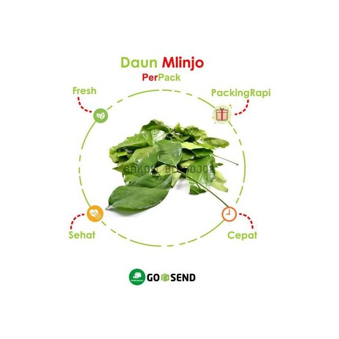 

DAUN SOO PER PACK / MLINJO / MELINJO / SAYUR SAYURAN SEGAR / FRESH