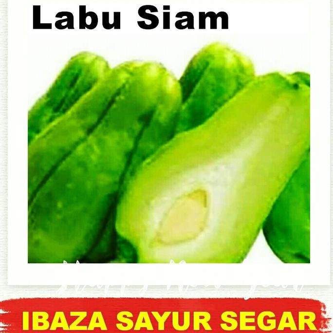 

LABU SIAM Sayur Segar IBAZA fruitsBOX - per butir sekitar kg Sayuran Segar Fresh Berkuatitas Ibaza fruitsBOX Kirim Cepat Pakai Kurir Instan