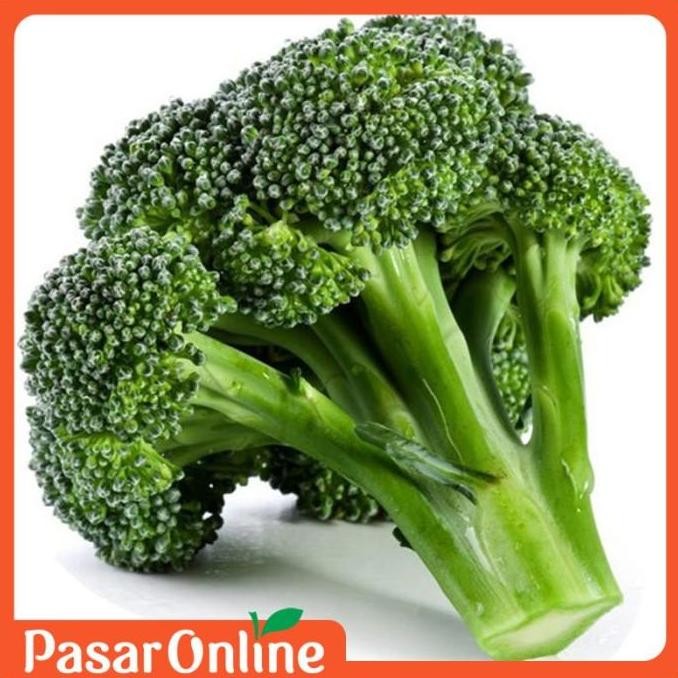 

Brokoli / Broccoli / Sayur Segar