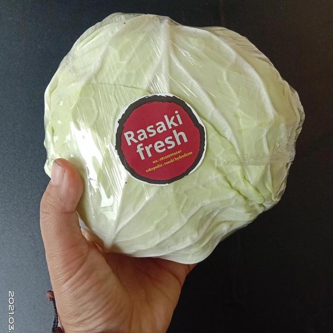 

sayur segar kol putih organik satuan 500gr