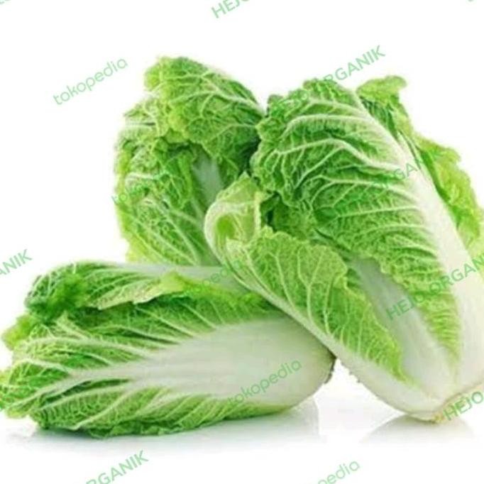 

Pecay Sawi putih pecai sayur organik Bandung sayuran fresh segar
