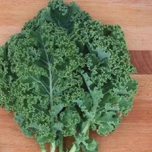 

Sayur Daun Kale Curly Segar / Borecole