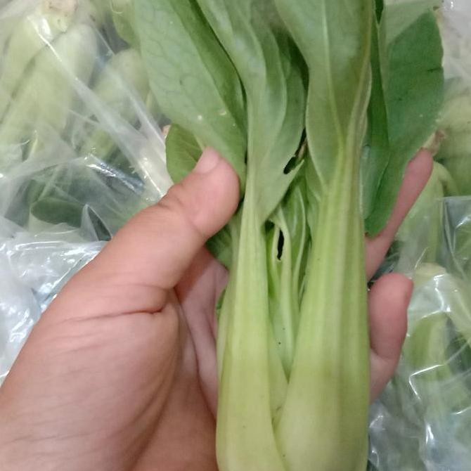 

sayur segar pakcoy organik 250gr rasaki