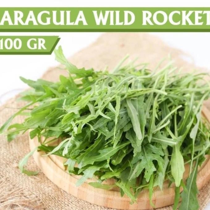 

SELADA ARAGULA ORGANIK SEGAR FRESH RUCOLA ROCKET WILD LETTUCE SAYUR SALAD