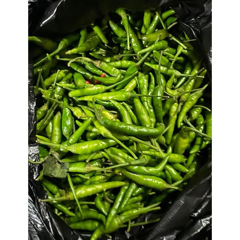 

Cabe rawit Hijau caplak murah