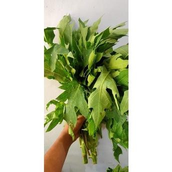 

sayur kangkung bayam pakcoy sawi manis sesim Pete d.singkong d.pepaya oyong